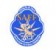 South Asian Championship U19
